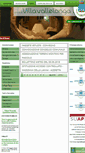 Mobile Screenshot of comune.villavallelonga.aq.it